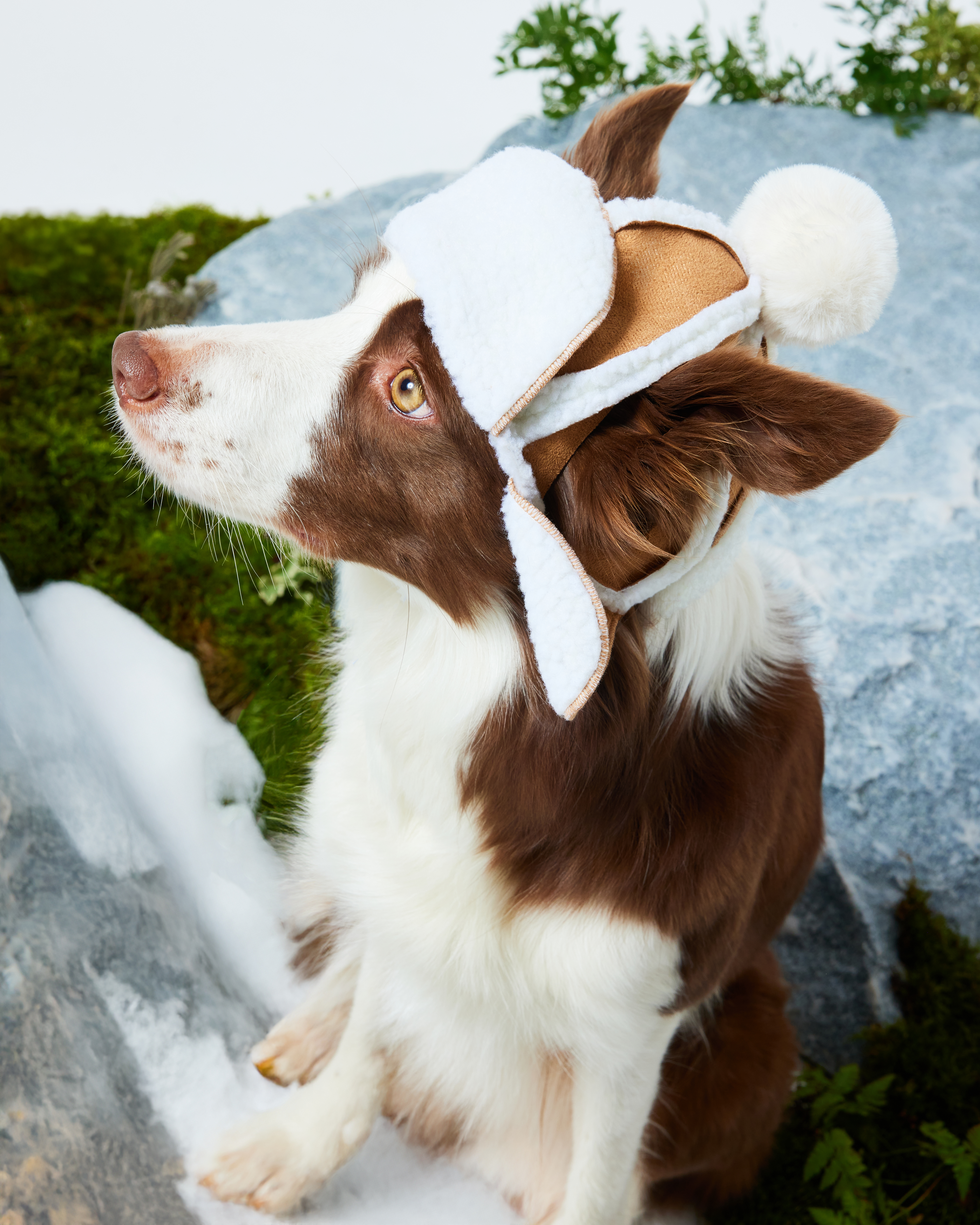 Шапка-ушанка для собак и кошек Зоозавр - фото 1