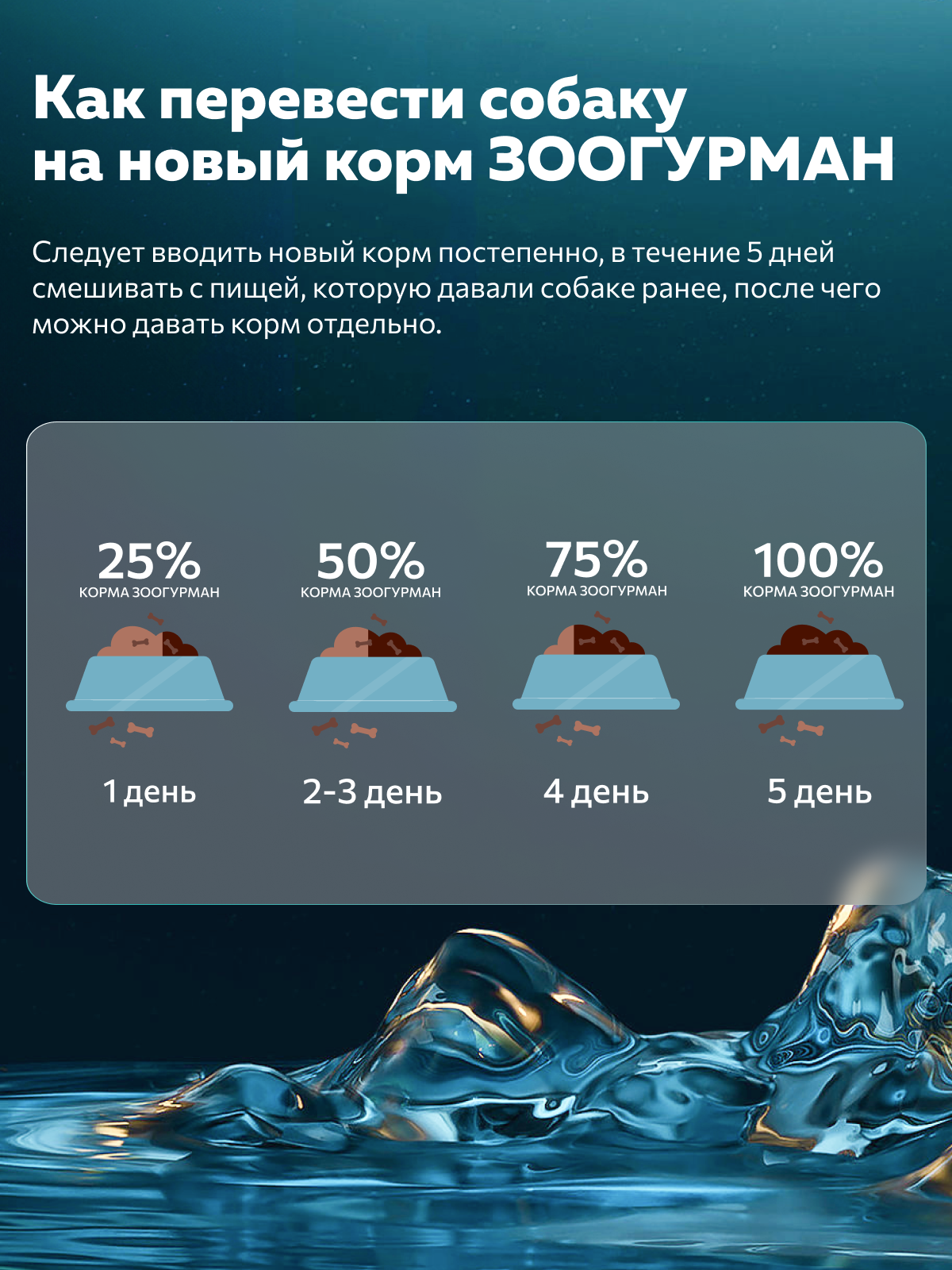 Корм влажный Зоогурман HOLISTIC Ягненок с рисом и овощами, 350 г х 6 шт - фото 5