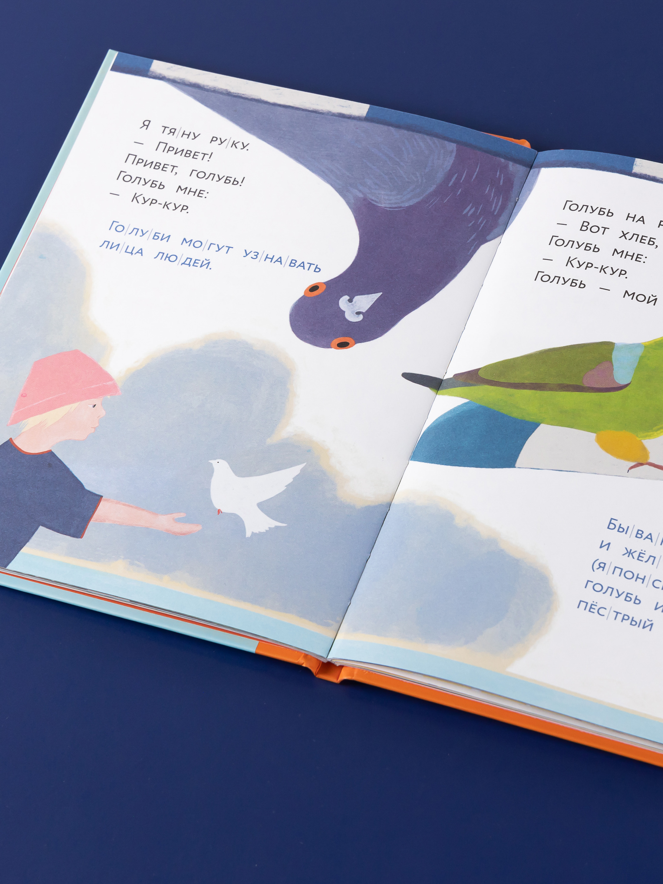 Книга Альпина. Дети Живой камень - фото 10