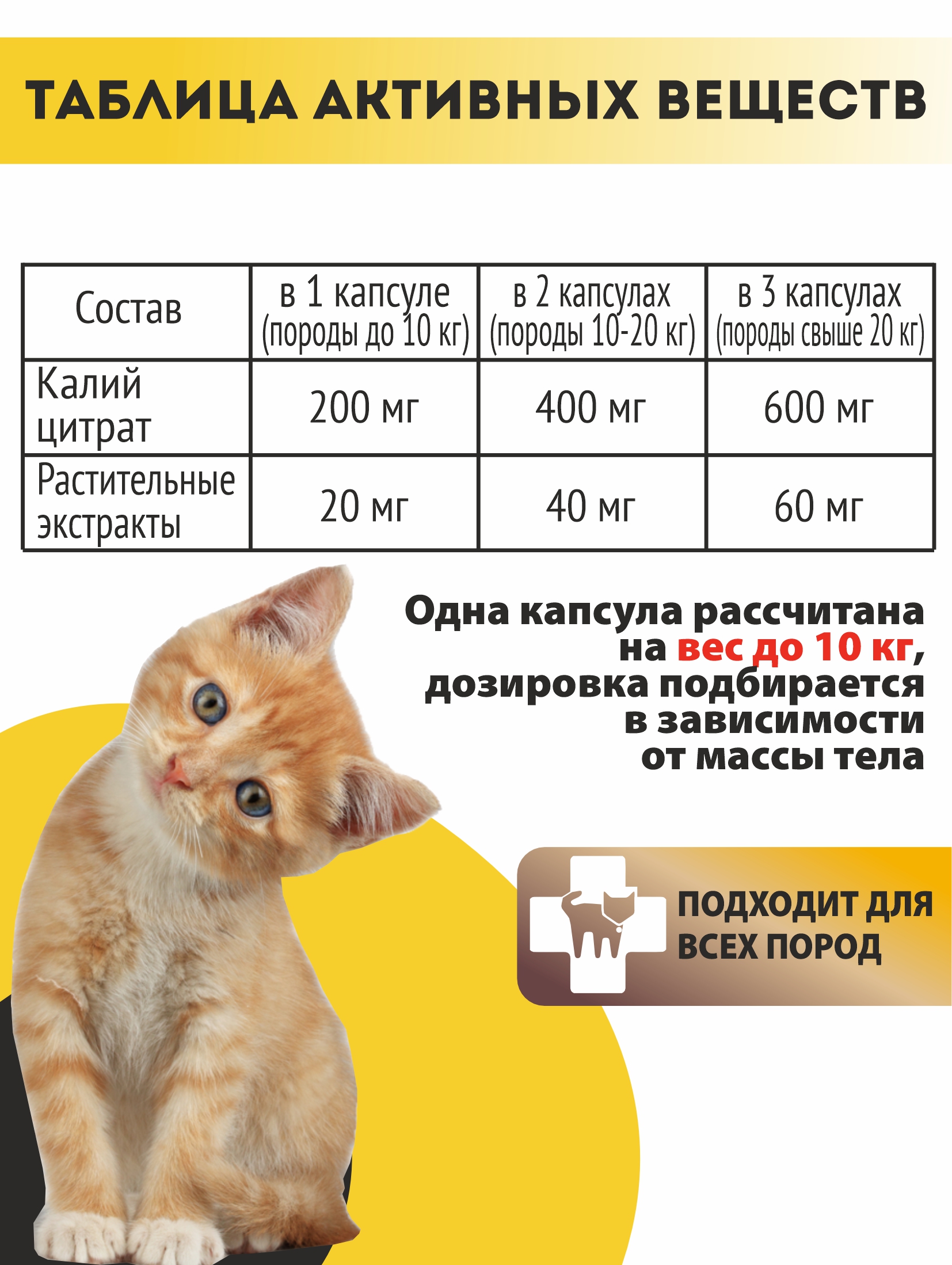 Витаминный комплекс ALTAI ANIMAL для кошек Здоровые почки - фото 5
