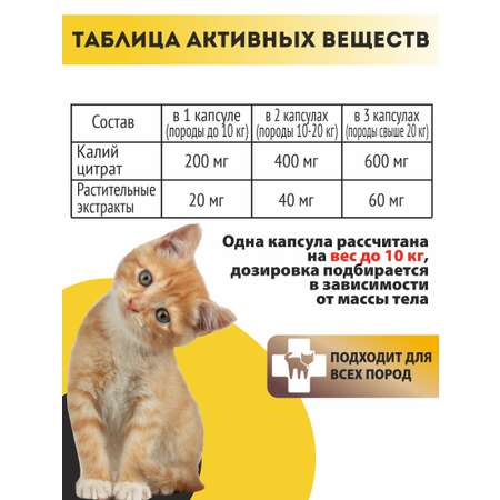 Витаминный комплекс ALTAI ANIMAL для кошек Здоровые почки
