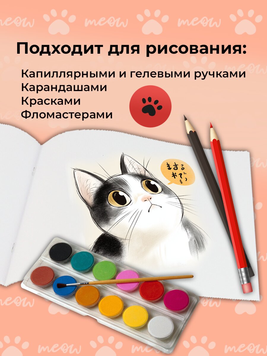 Альбом Prof-Press А4 24 лист. 2 шт. - фото 4
