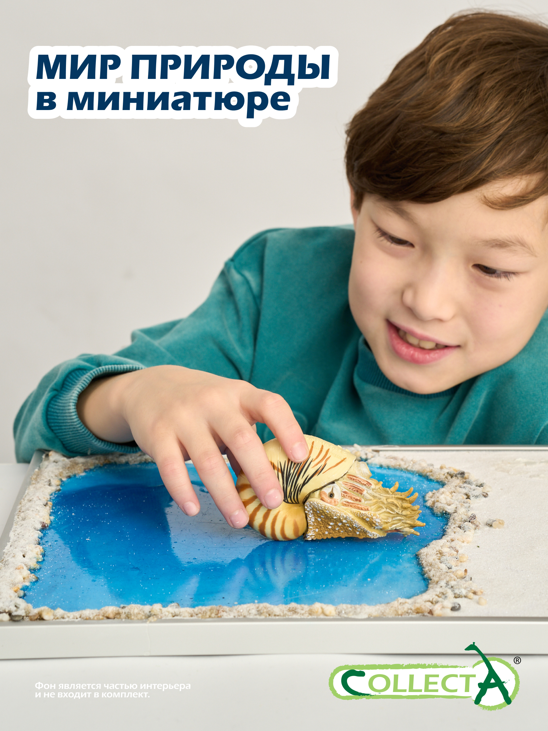 Фигурка Collecta Моллюск Наутилус Помпилиус - фото 7