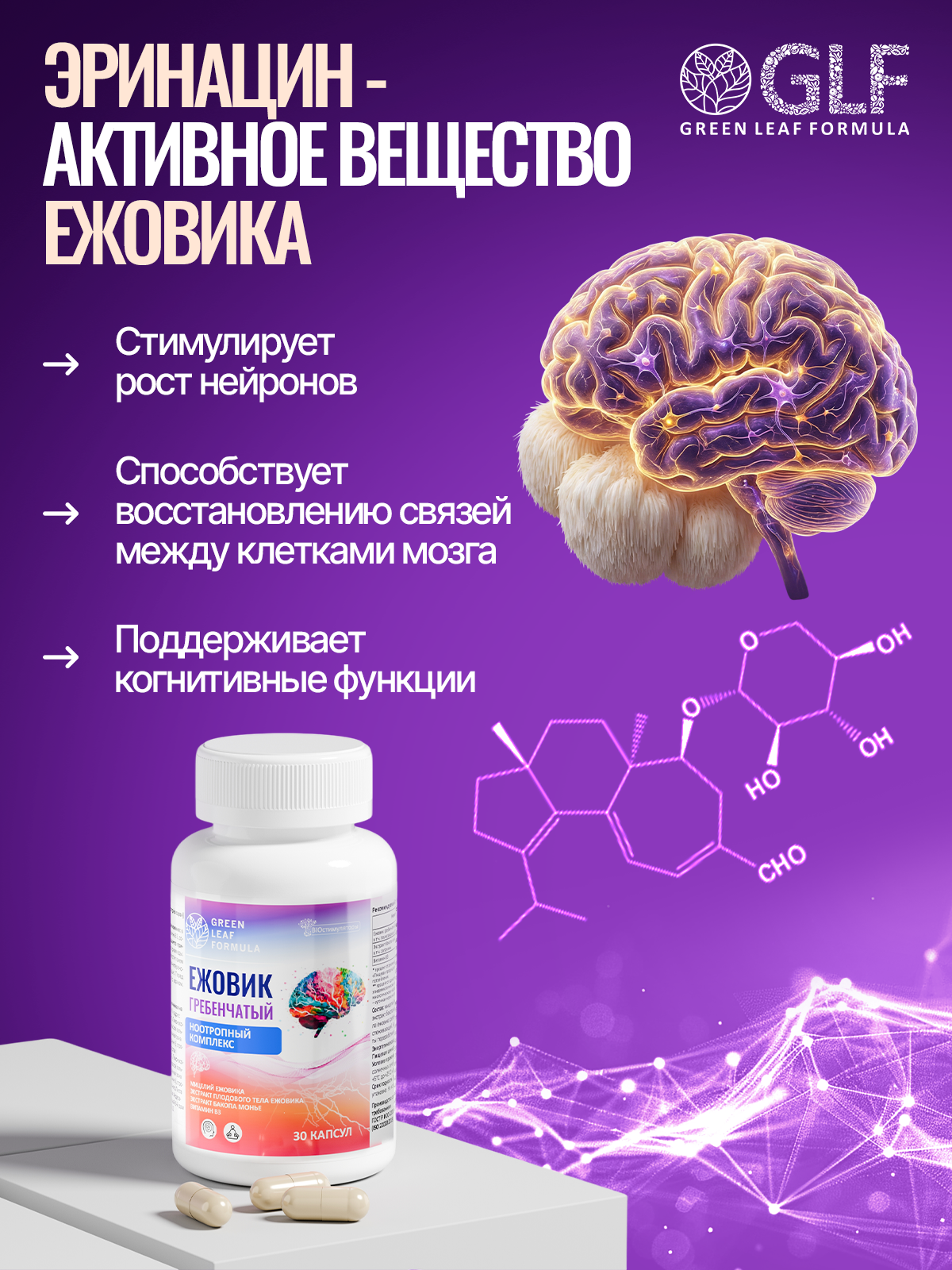 Ноотроп комплекс ежовик гребенчатый Green Leaf Formula витаминный комплекс для мозга памяти - фото 6