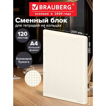 Сменный блок Brauberg клетка 120 лист.