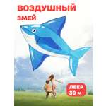 Воздушный змей Наша Игрушка