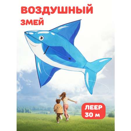 Воздушный змей Наша Игрушка