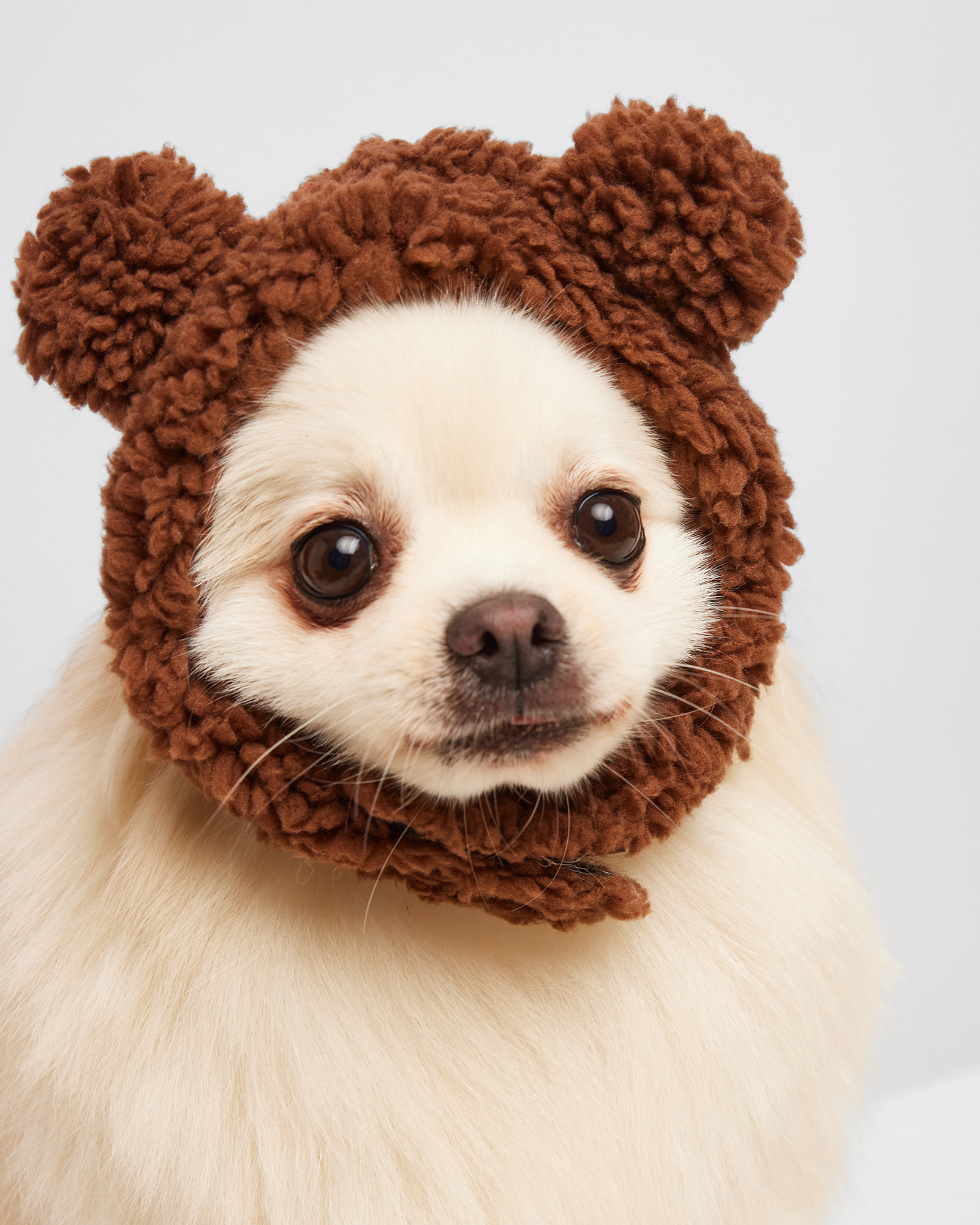 Шапка для собак и кошек Зоозавр - фото 2