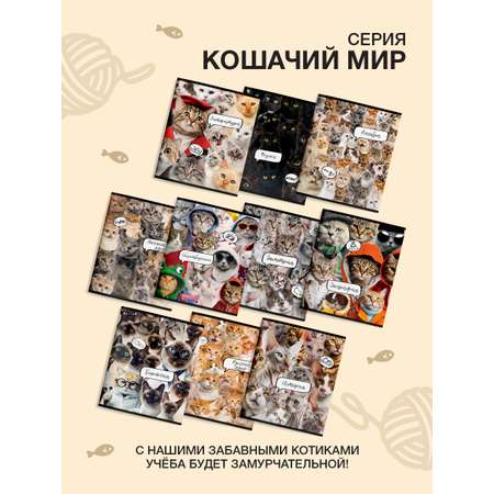 Тетрадь SCHOOLFORMAT 48 лист. 10 шт.