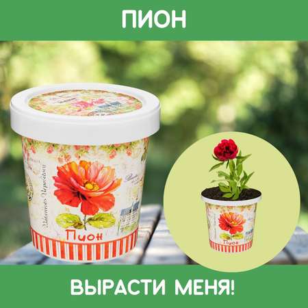 Набор для выращивания Rostok Visa