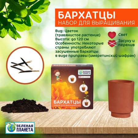 Набор для выращивания ЗЕЛЕНАЯ ПЛАНЕТА