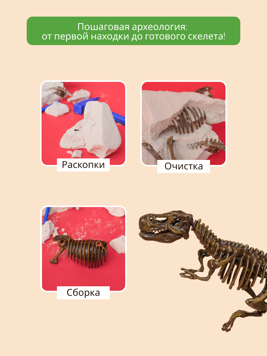 Набор для раскопок KONIK Science - фото 4