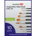 Кисть Brauberg 10 шт. (синтетика)