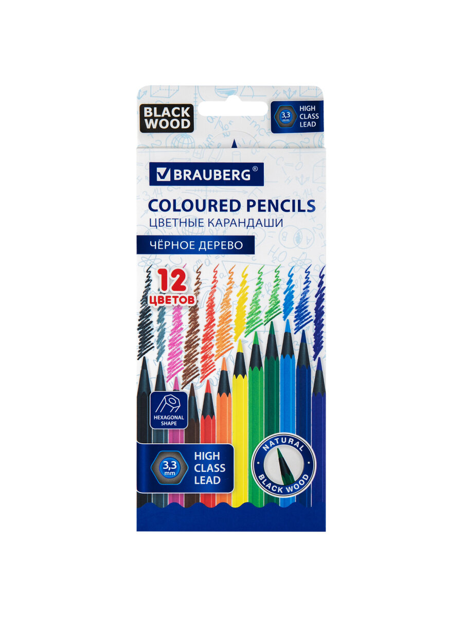 Карандаши цветные Brauberg 12 шт. - фото 5