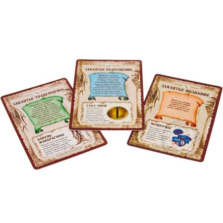 Настольная игра Правильные Игры