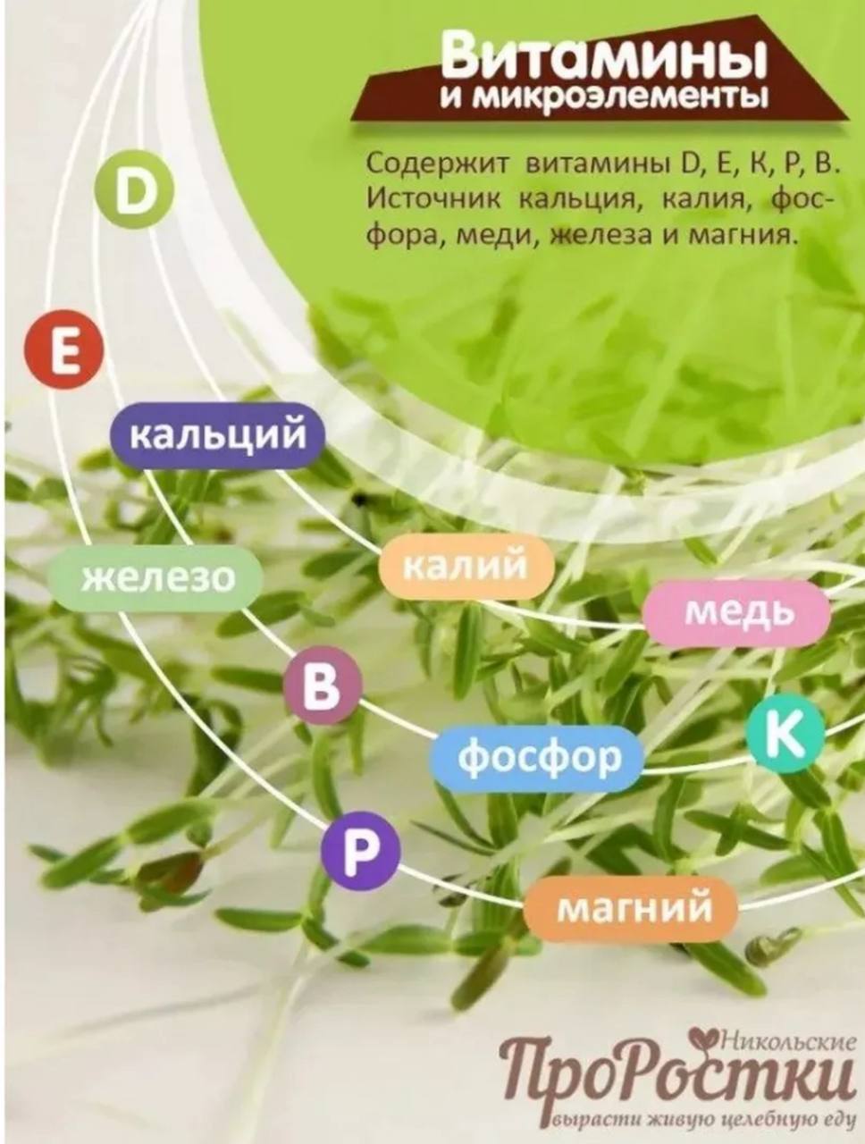 Семена для микрозелени MegaMedia амарант - фото 2