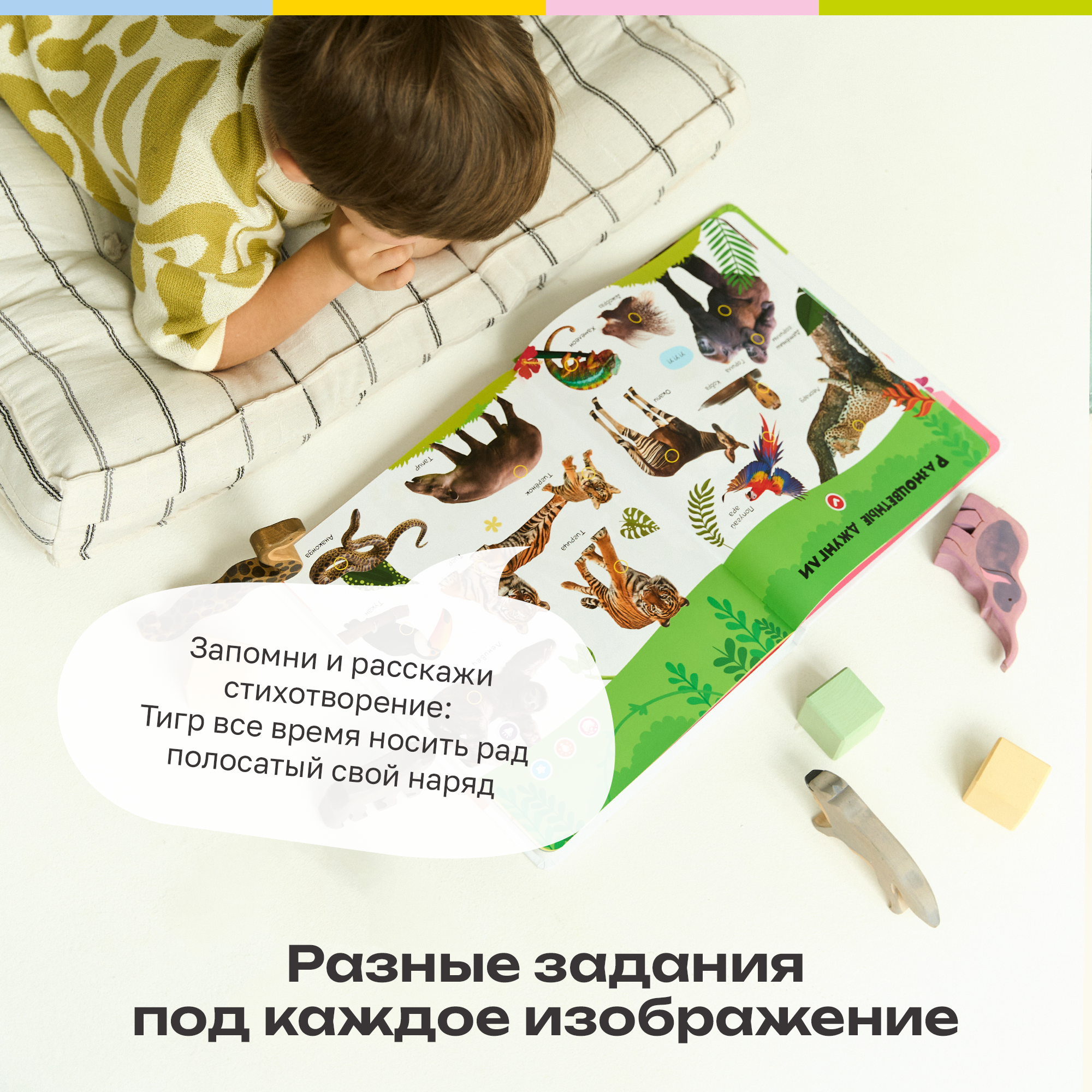 Говорящая книжка BertToys большая нажималка животные - фото 10