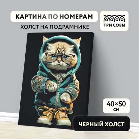 Картина по номерам ТРИ СОВЫ Стильный кот