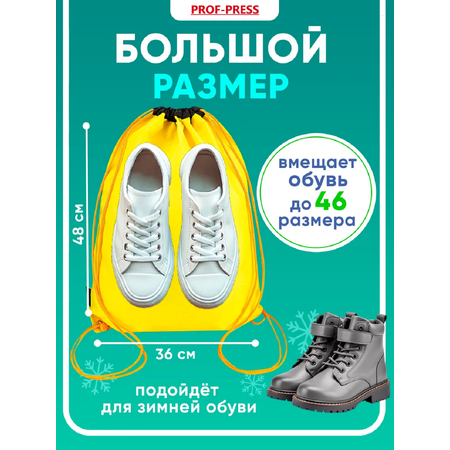 Мешок для обуви Prof-Press