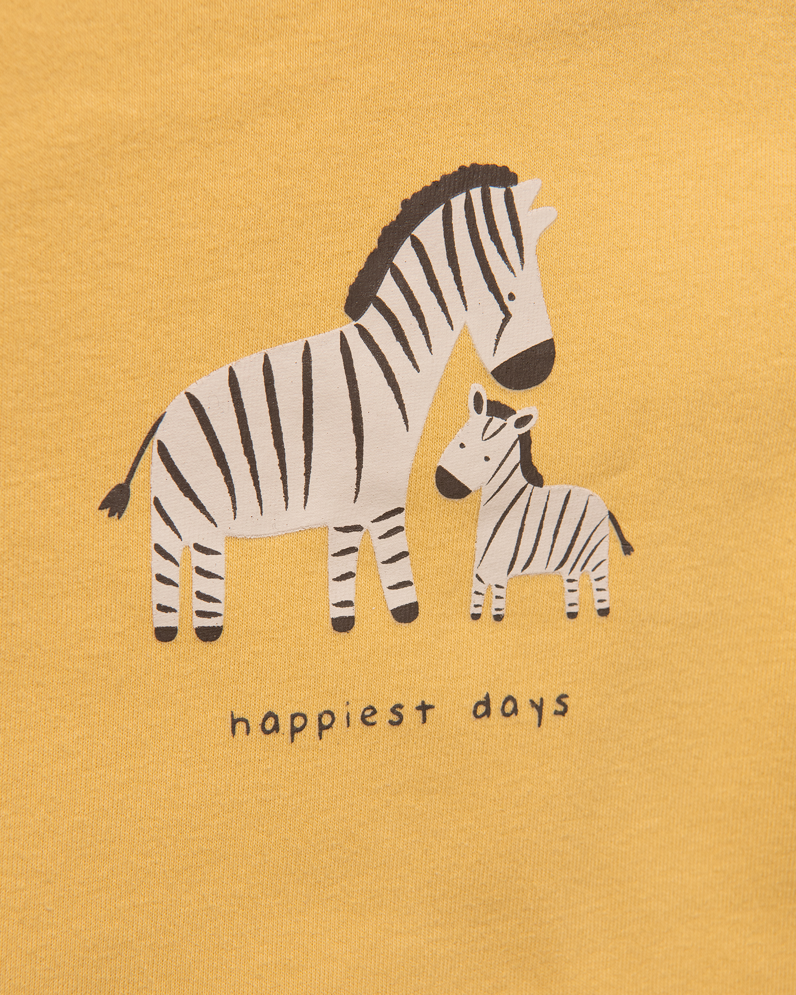 Боди 2 шт BabyGo S24BG1-15600ib-33F0 - фото 4