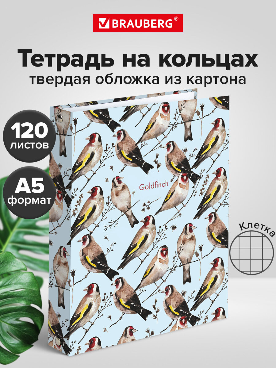 Тетрадь со сменным блоком Brauberg клетка 120 лист. - фото 1