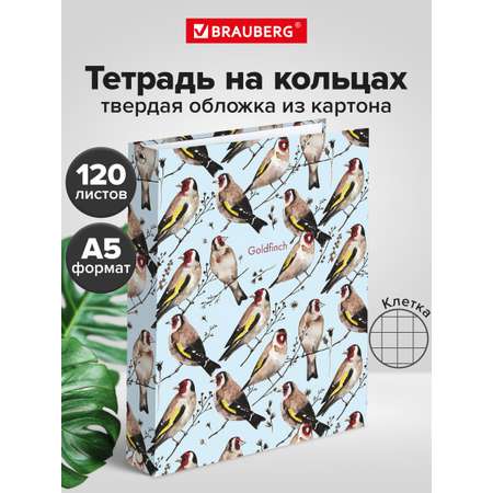 Тетрадь со сменным блоком Brauberg клетка 120 лист.
