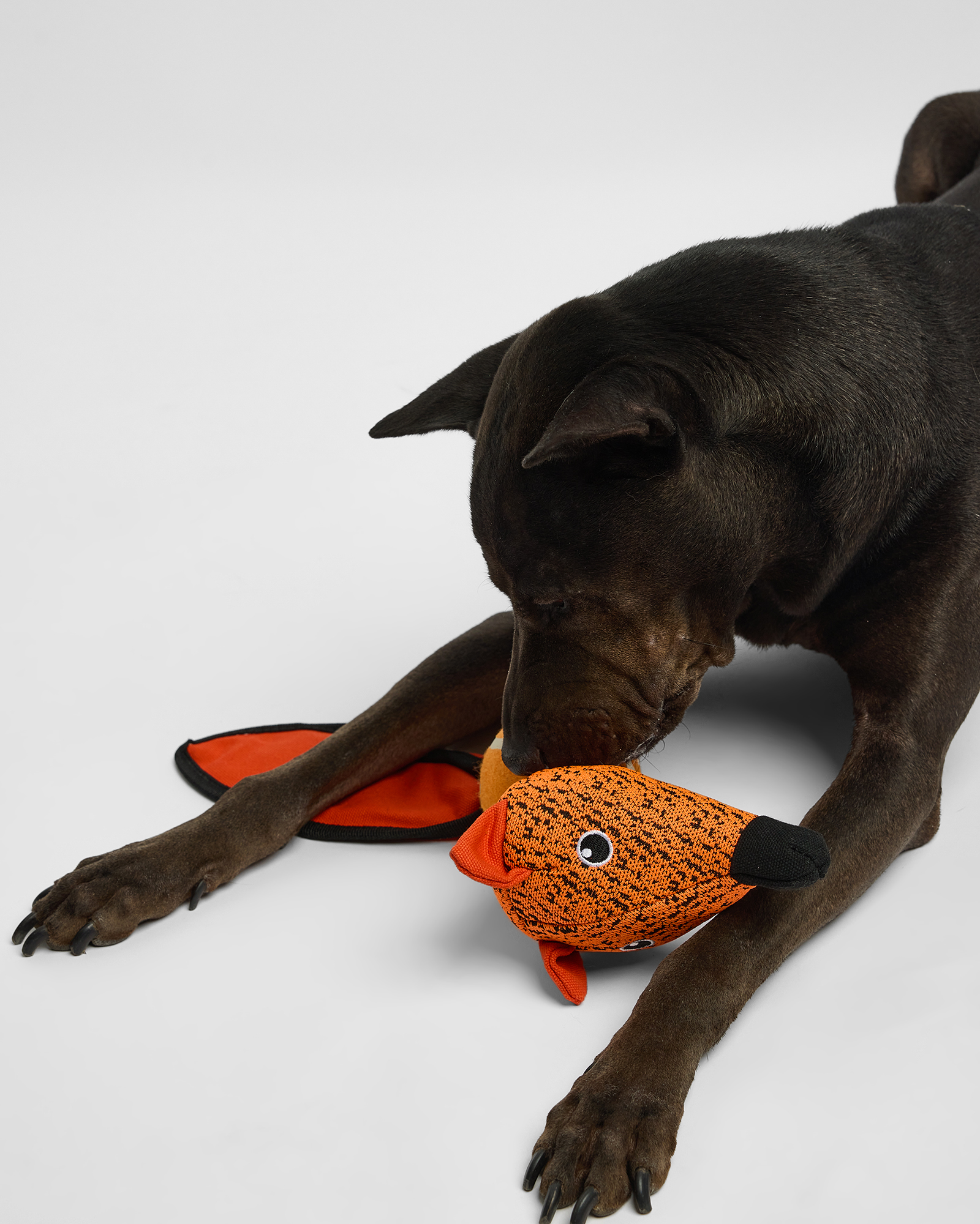 Игрушка для собак Barbaks Лиса с теннисным мячиком шуршит пищит 43*15 см - фото 6