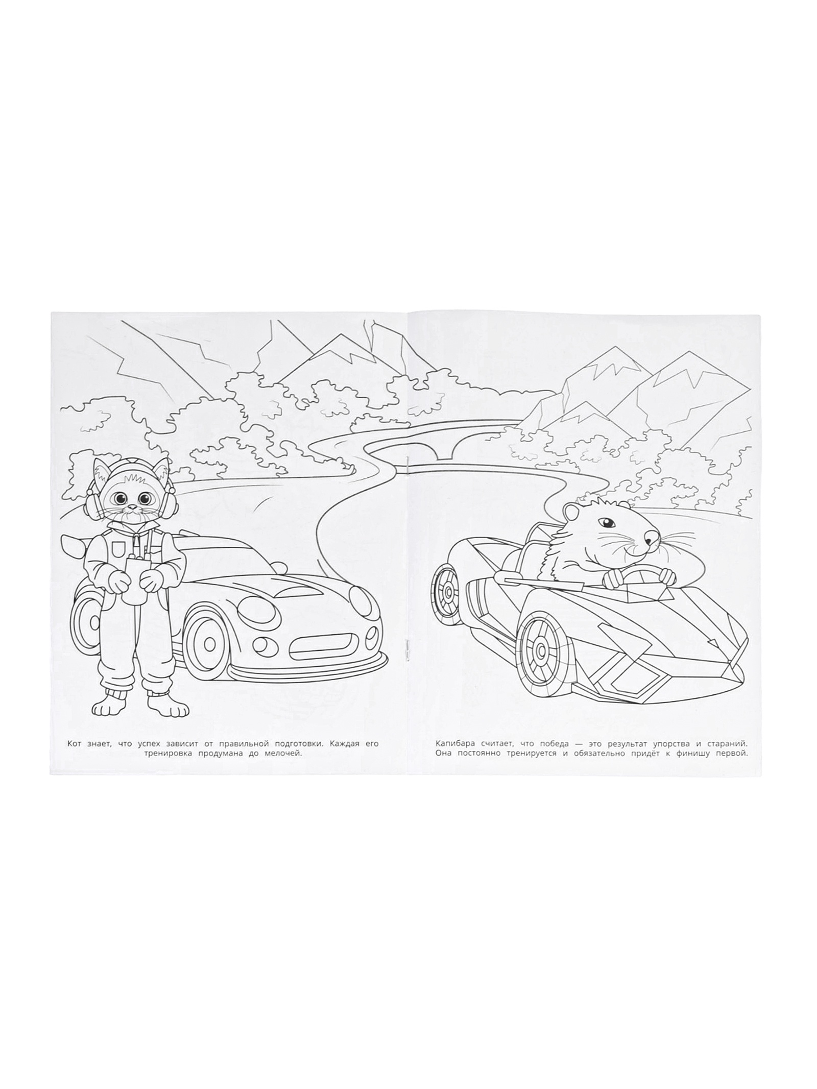 Раскраска Умкa Весёлый гонщик 16 стр - фото 3