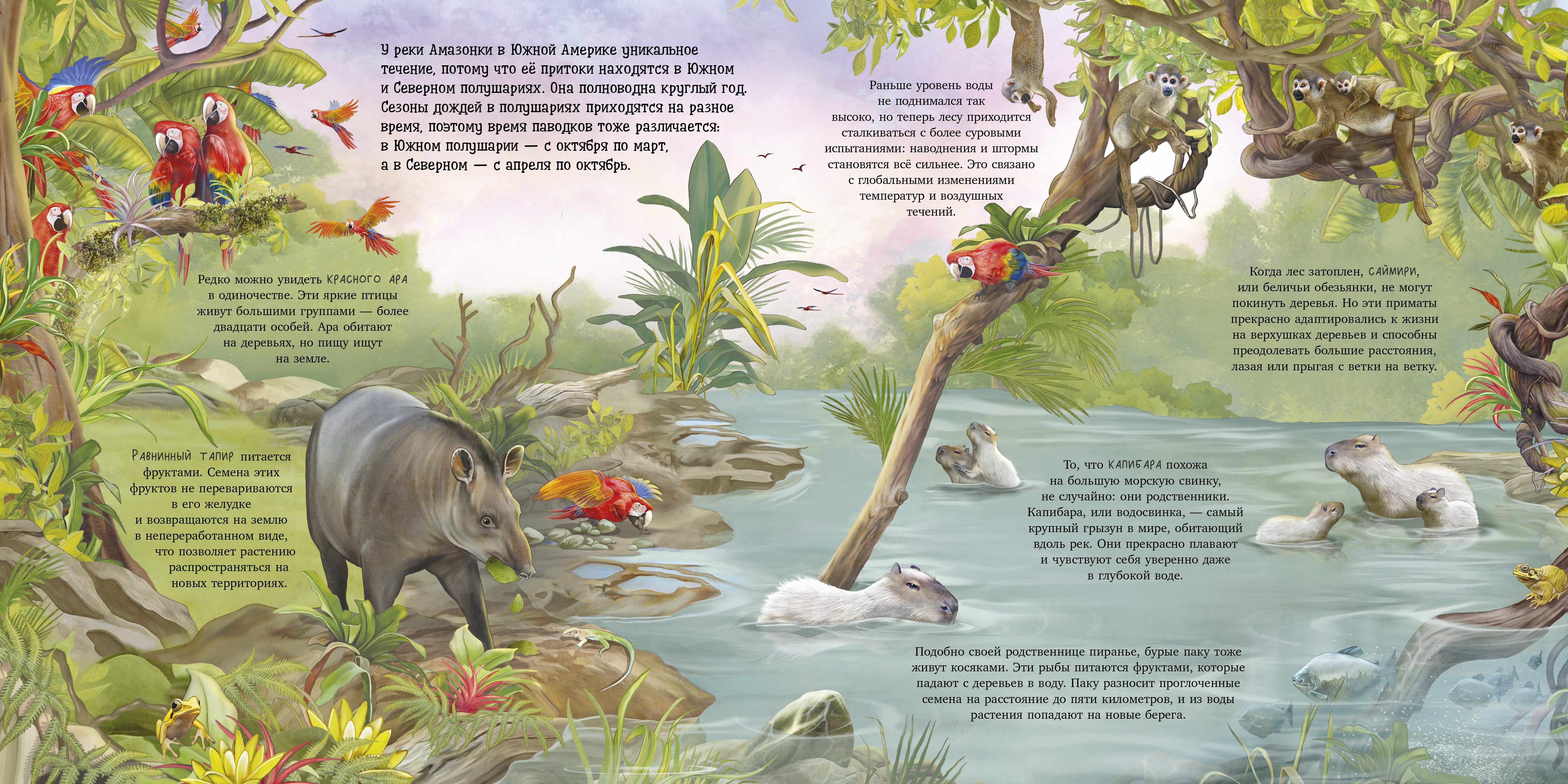 Книга Clever Удивительные животные - фото 2