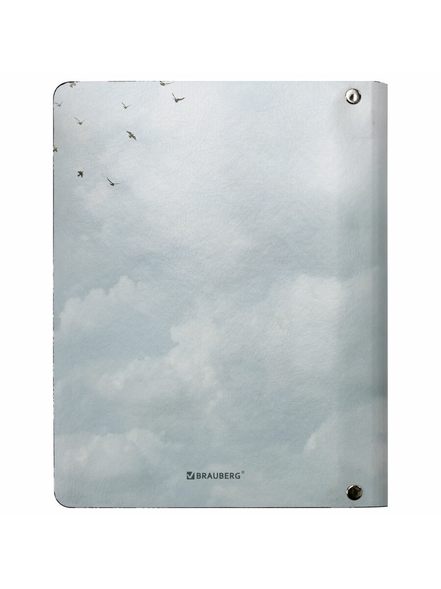 Общая тетрадь Brauberg клетка 80 лист. - фото 11