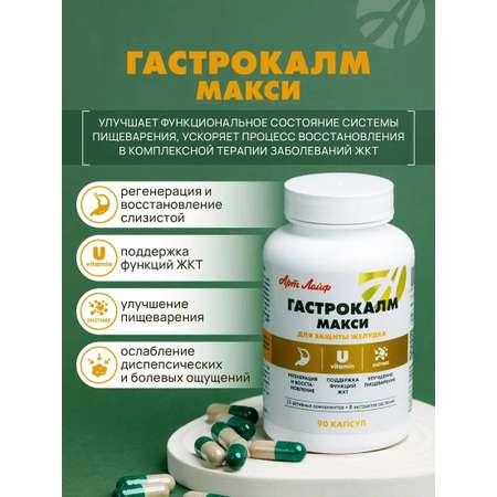 БАД Арт Лайф Гастрокалм Макси Для защиты желудка, 90 капсул