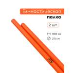 Активная игра FN Plastic Stick 1 м