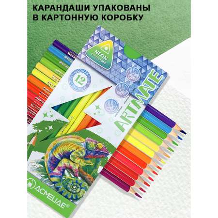 Карандаши цветные ACMELIAE 12 шт.