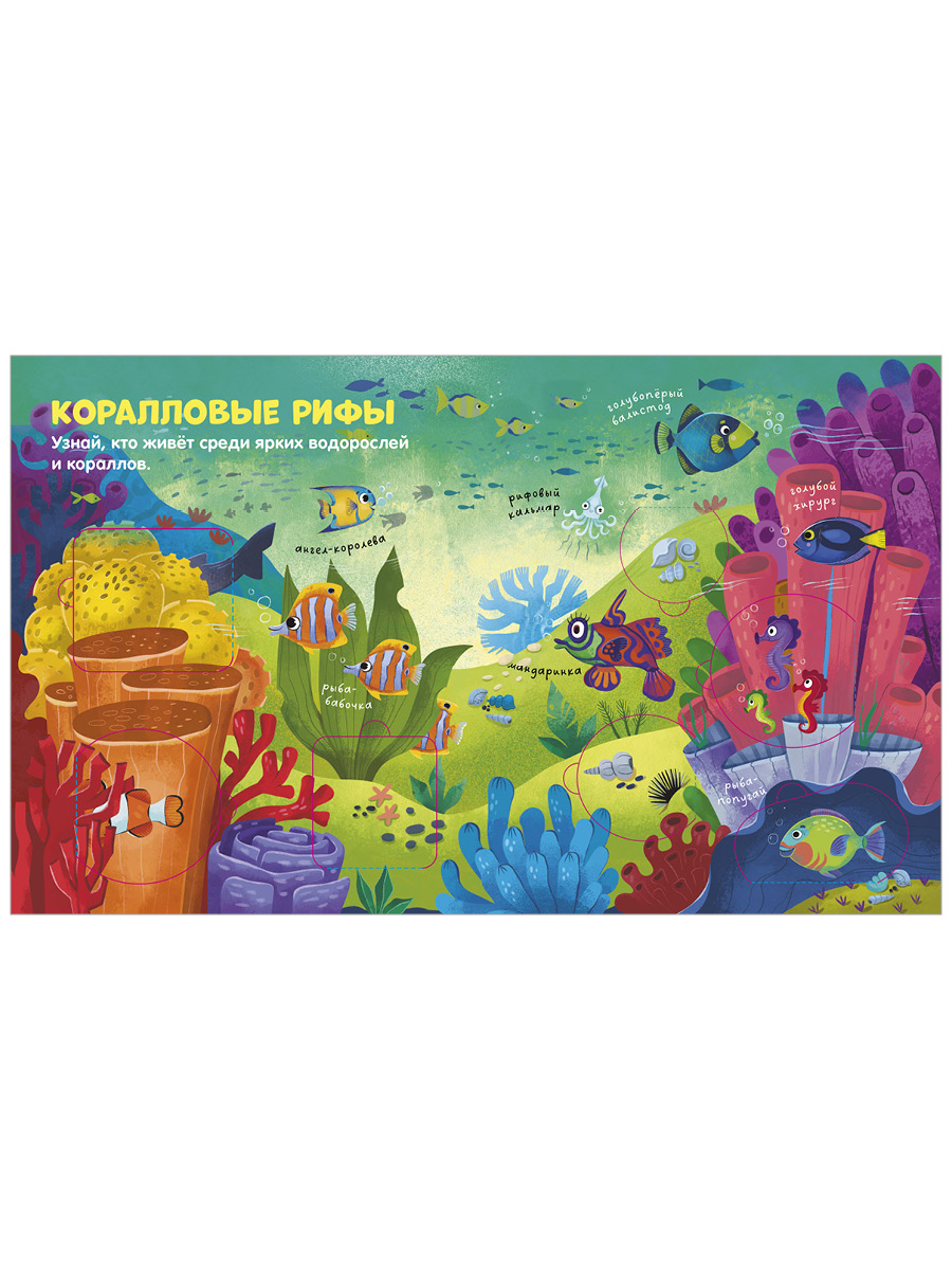 Книга Clever Океаны и моря - фото 7