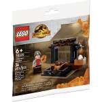 Конструктор LEGO Jurassic World 30390 30 дет.