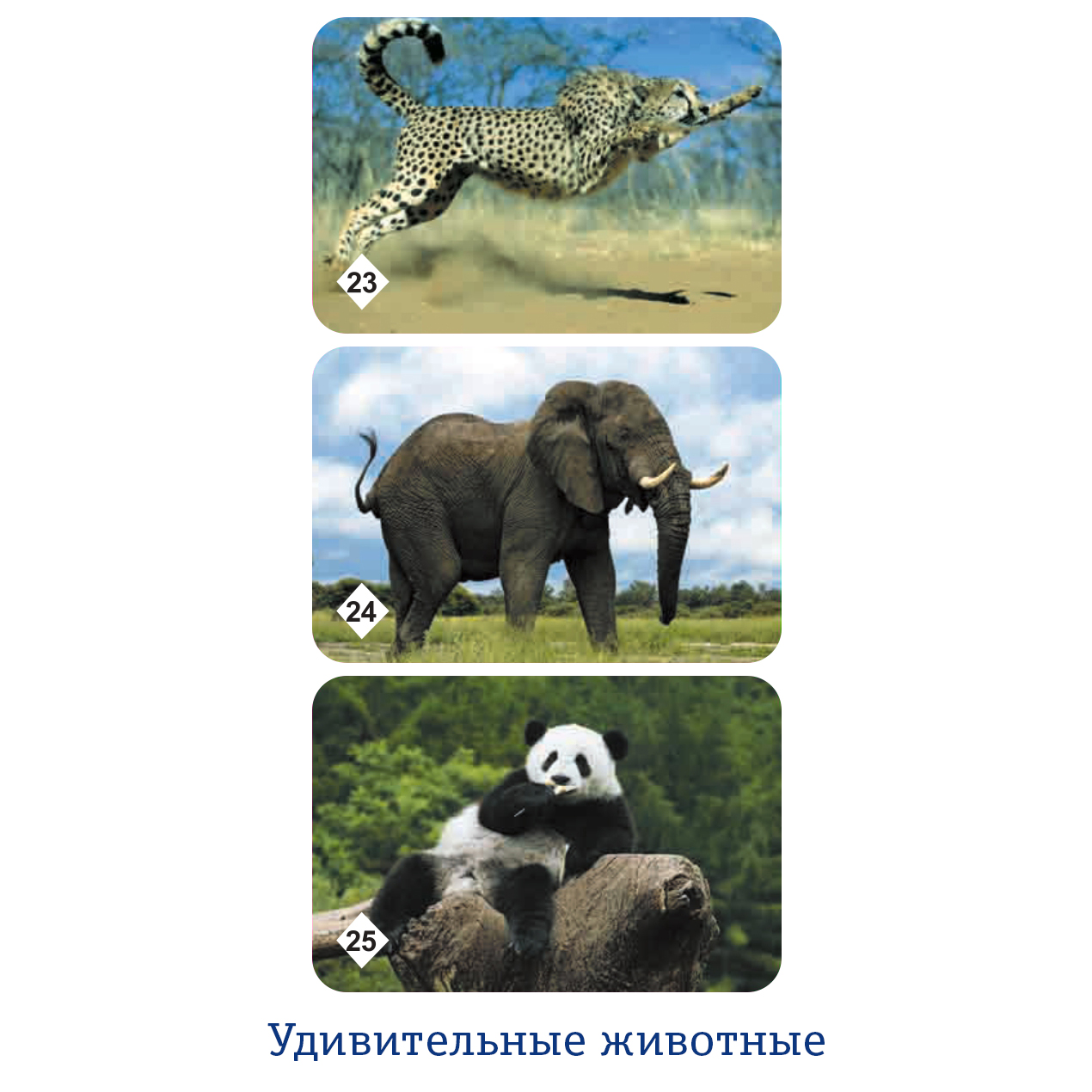 Настольная игра Нескучные игры Мемо - фото 15