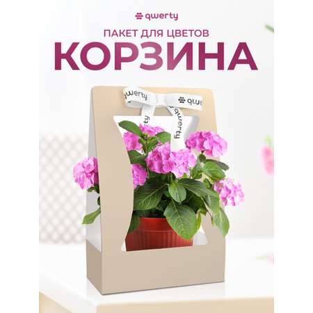 Пакет для цветов Qwerty Корзина