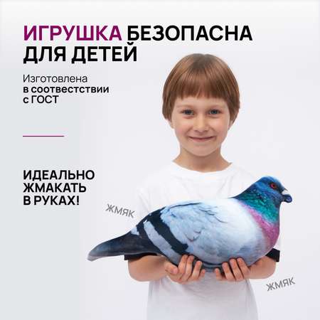 Сквиш Мемограм