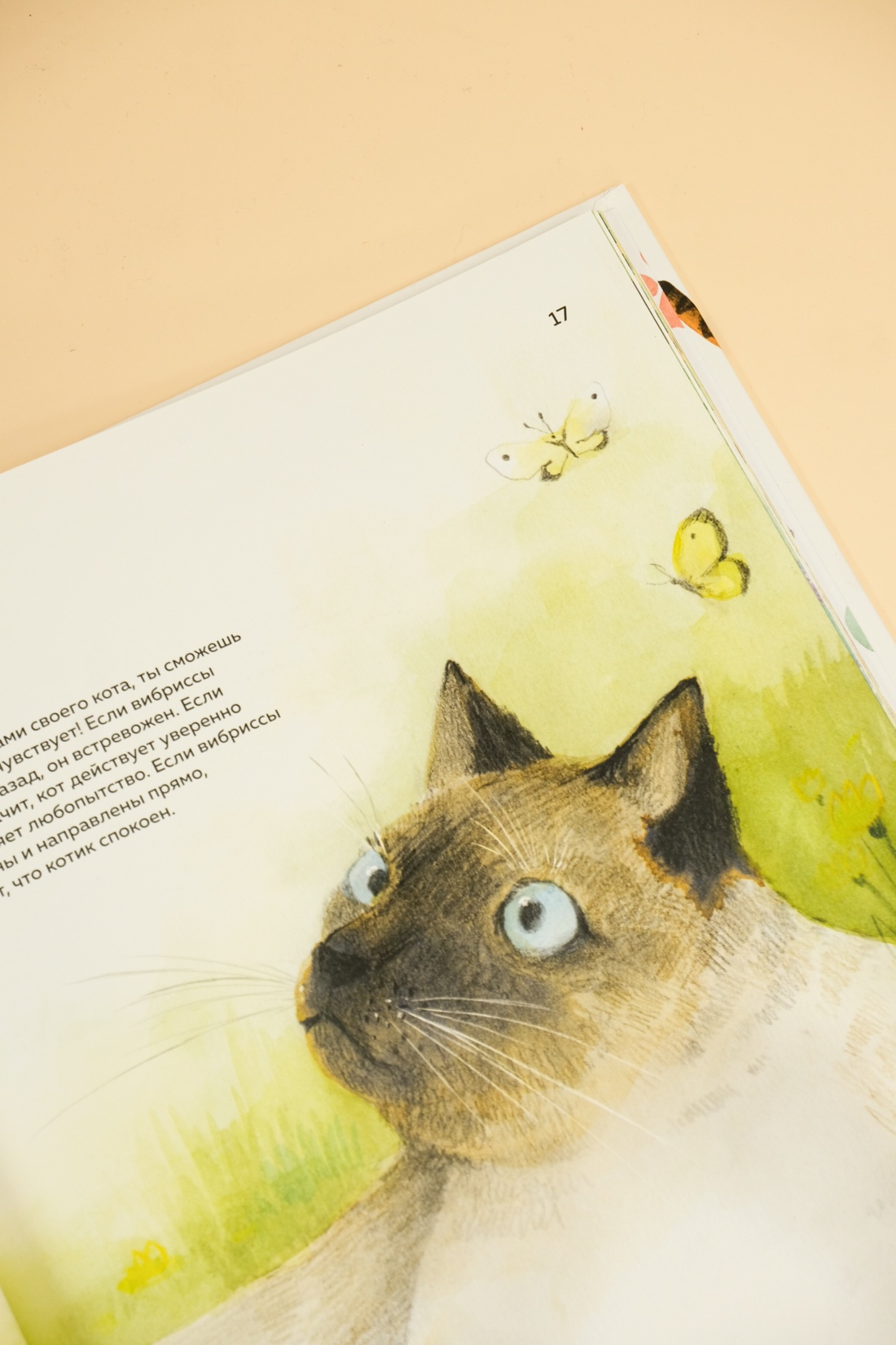 Книга Махаон Энц. Бурсе К. Невероятные коты. Всё, что нужно знать о любимых питомцах - фото 8