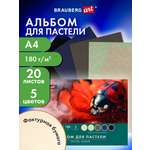 Альбом Brauberg для пастели А4 20 лист. 1 шт.
