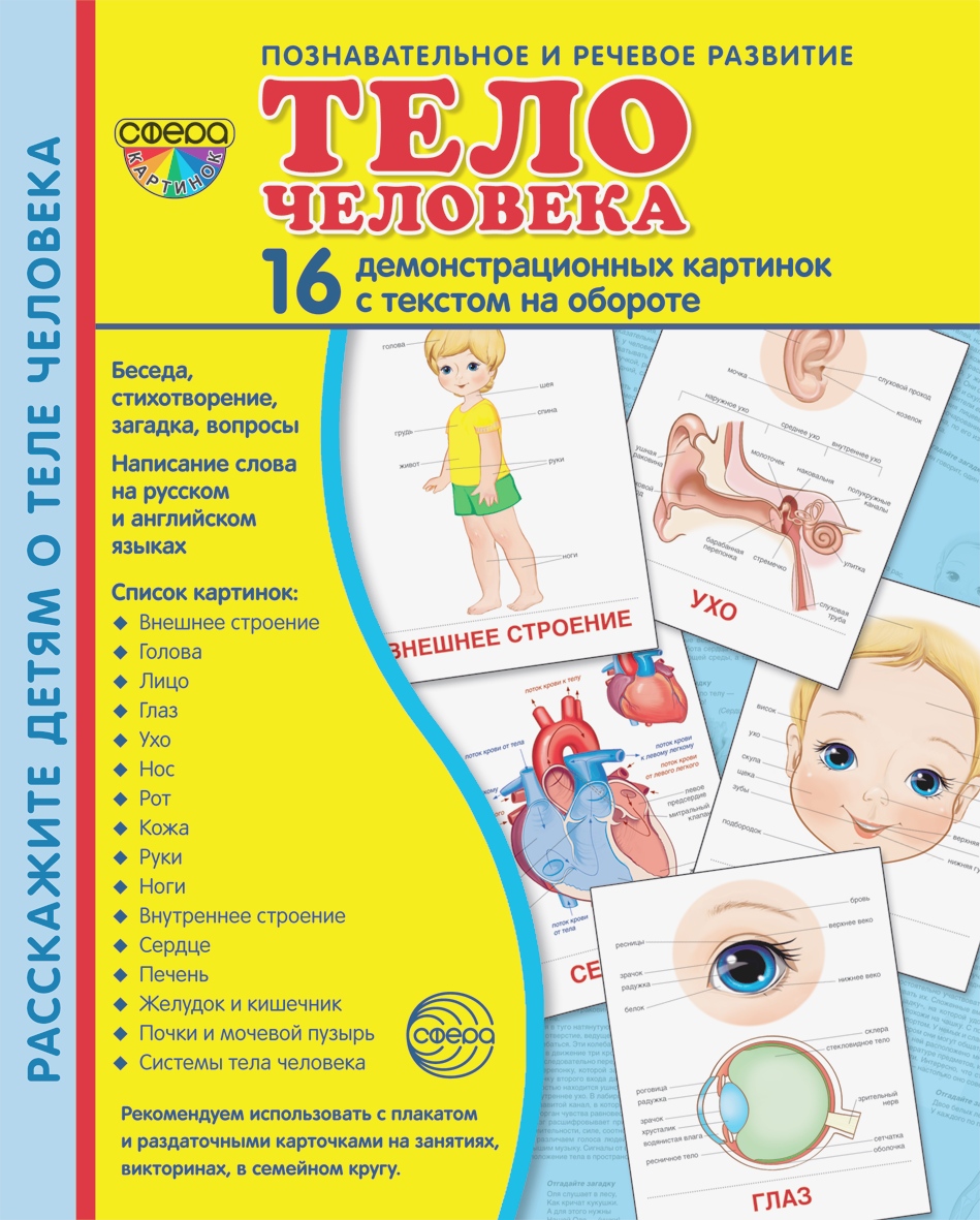 Карточки ТЦ Сфера Тело человека - фото 1
