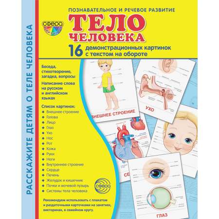 Карточки ТЦ Сфера Тело человека