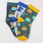 Носки Master Socks