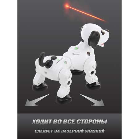 Собака РУ Veld Co