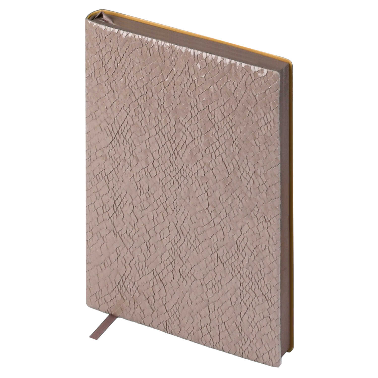 Ежедневник Феникс + ESCALADA 160 лист. - фото 3