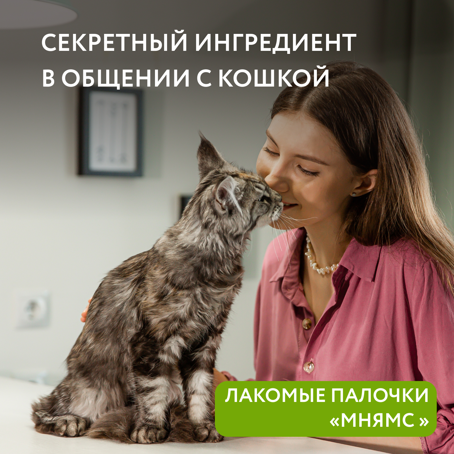 Лакомство для кошек Мнямс лакомые палочки с уткой и кроликом 10*5г - фото 6