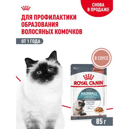 Корм для кошек ROYAL CANIN Hairball care для снижения риска образования волосяных комочков 85г