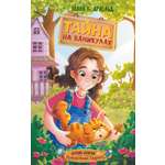 Книга Махаон СоврДетКн Арнольд Э Тайна на каникулах