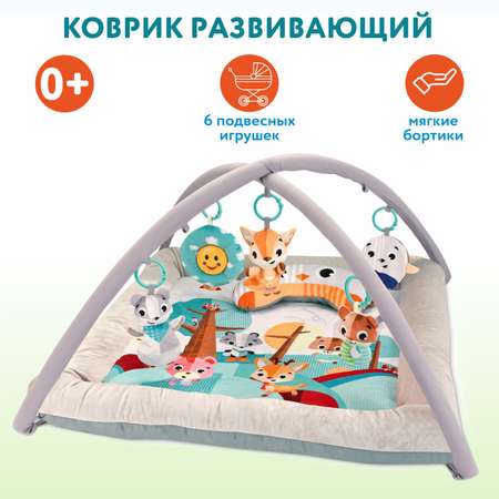 Коврик Ocie с дугами Морской остров