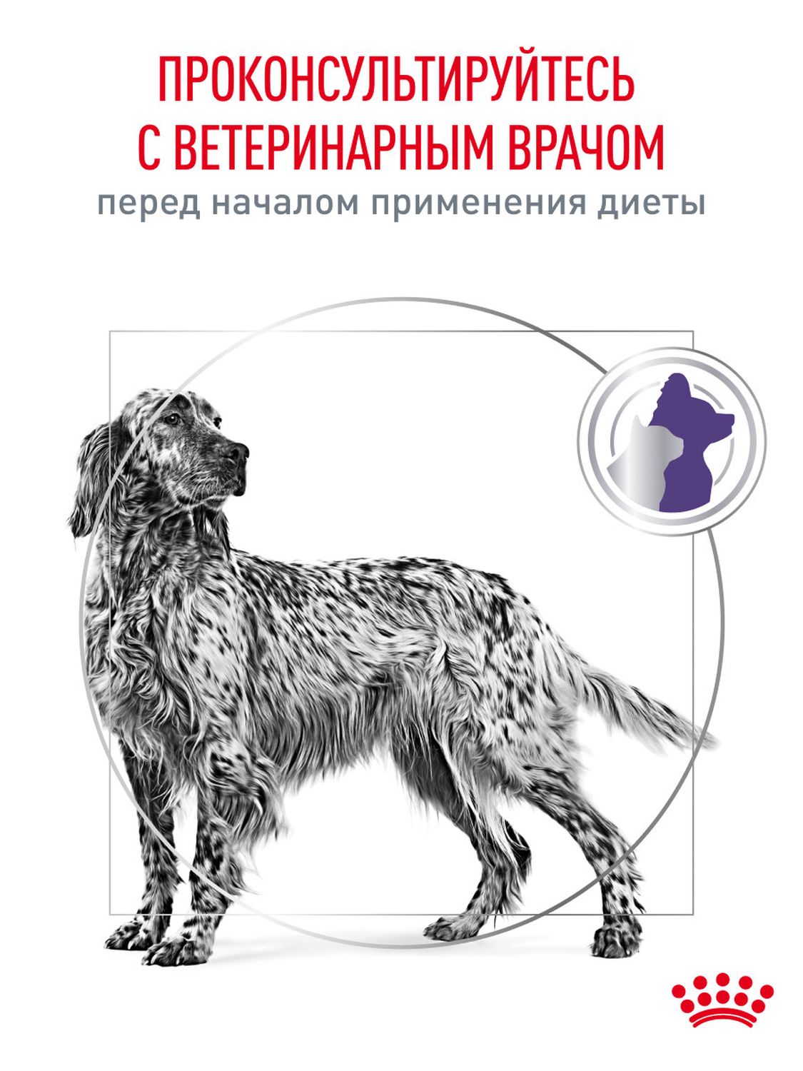 Корм для собак влажный ROYAL CANIN Neutered Adult кусочки в соусе 100г - фото 9